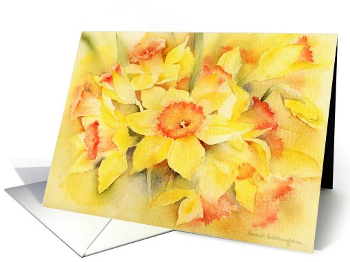 Daffodils blank card (780493)