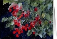 Merry Christmas, Red Berries card