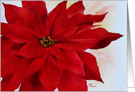 Christmas, Red Poinsettia card