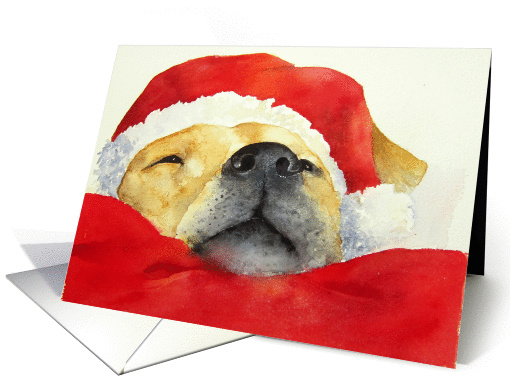 Christmas, Santa Dog in Santa Hat card (993587)