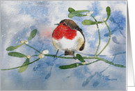 Christmas, Robin and Mistletoe card