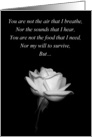 White Rose - Love Birthday card