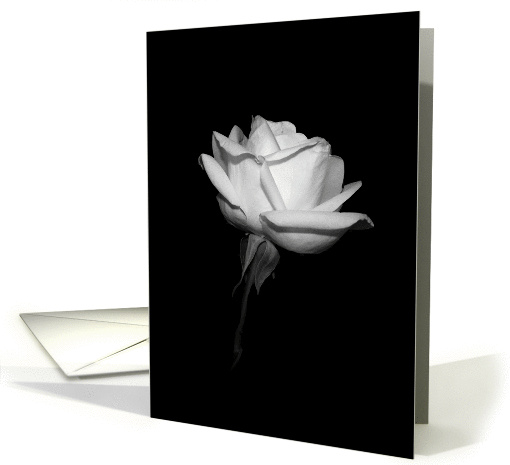 White Rose - Wedding Invitation card (273092)