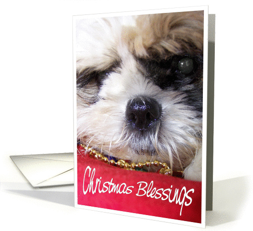 Christmas Blessings - for Daughter-in-law card (295304)