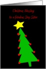 Christmas Blessings - step sister card