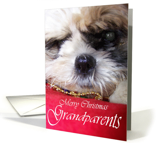 Merry Christmas - Grandparents card (299423)