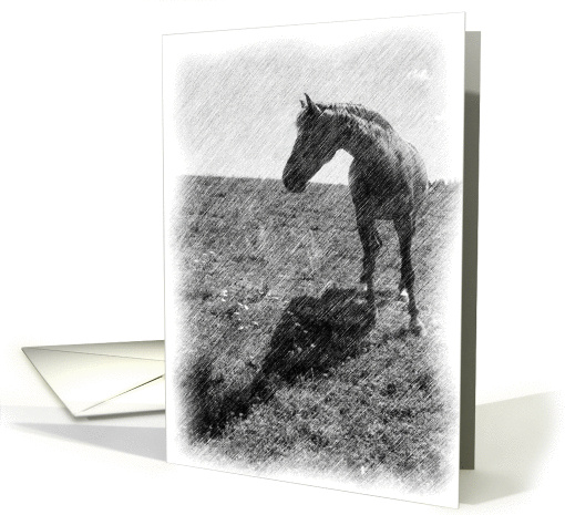 Horse Note card (321888)