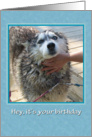 Birthday Bath card