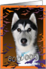 Scaredy-Dog card