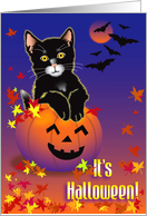 Halloween Kitty