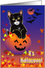Halloween Kitty card