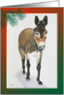 Happy Holiday Donkey card
