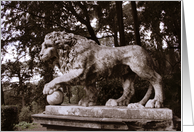 Lion in Park, Venice, Italy card
