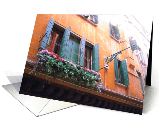 Floral Window, Florence, Italy card (256593)