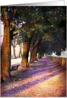 Path along the wall surrounding Lucca, Italy card