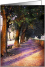 Path along the wall surrounding Lucca, Italy card