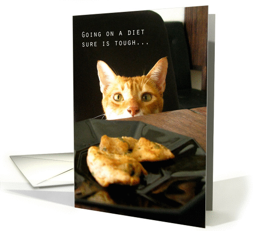 Diet Cat card (309773)