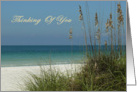 Thinking of You for a Friend, view of Gulf with sea oats. card