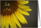 Just a Note, Sunflower blank note card