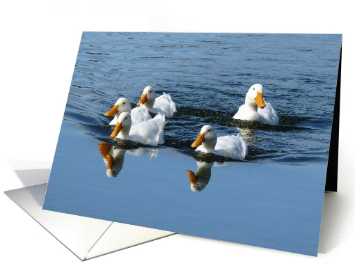 Get Well/Feel Better, swimming ducks. card (290358)