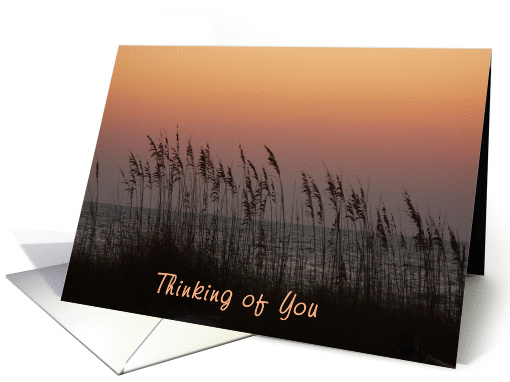 Thinking of You, soft sunset on Gulf. card (302034)