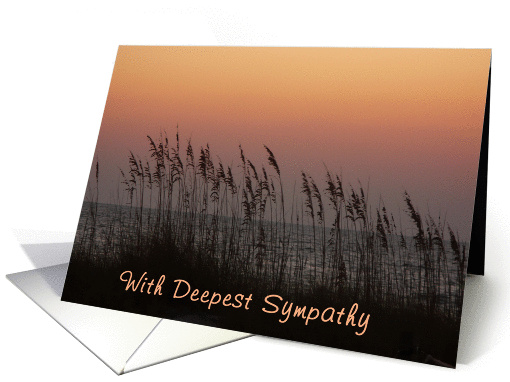 Sympathy, sea oats at sunset on Gulf. card (302036)