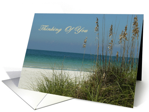 Thinking of You for a Friend, view of Gulf with sea oats. card