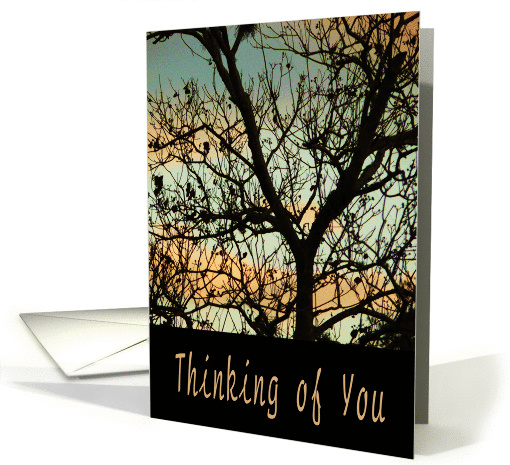 Thinking of You, Friend card (331376)