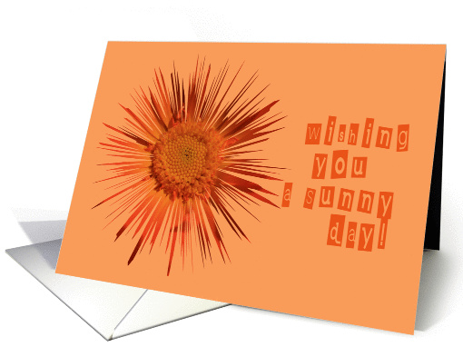 Encouragement card (339920)