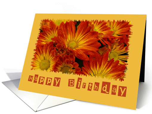 Birthday, General card (344336)