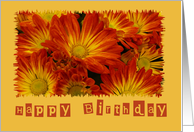 Birthday, General card