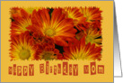 Birthday, mom card