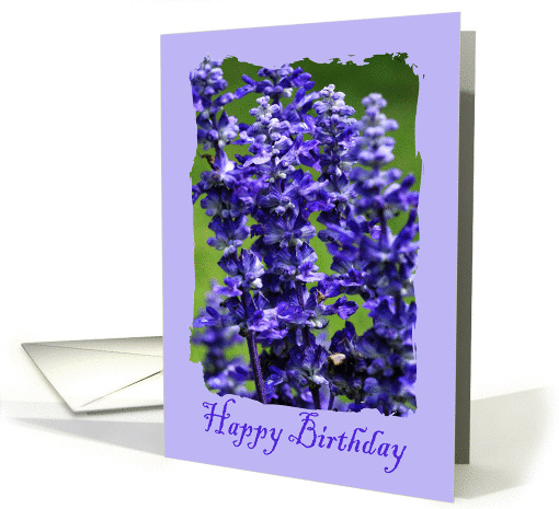 Birthday, General card (344712)