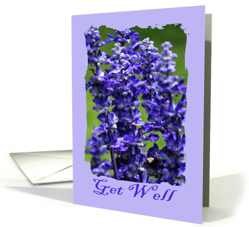 Get Well, feel better card (344736)