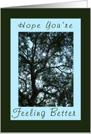 Get Well/Feel Better card