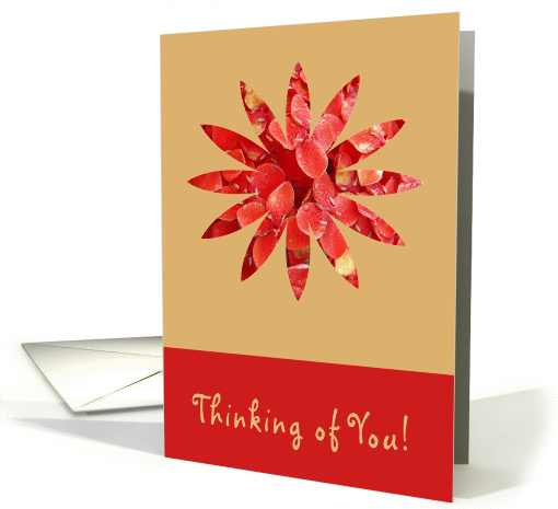 Thinking of You card (355159)