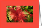 Bright red & green leaf, blank card