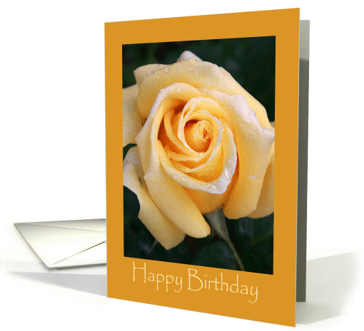Birthday, General card (357326)