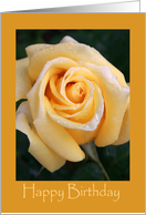 Birthday, General card
