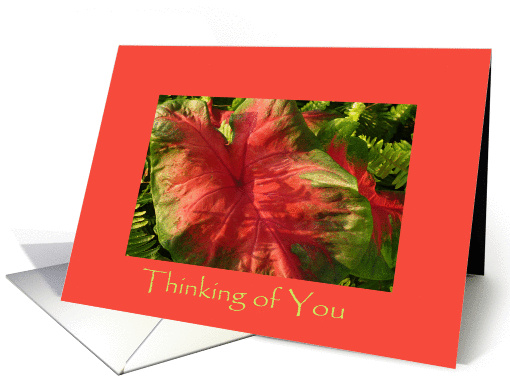 Thinking of You card (357332)