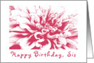 Birthday, sis card