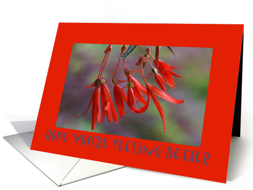 Get Well, Bonfire Bush card (361588)