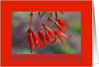 Daughter, Birthday,...
