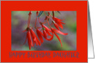 Daughter, Birthday, Bonfire Bush card