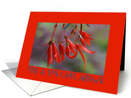 Aunt, Birthday, Bonfire Bush card (361604)