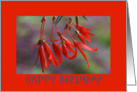 Birthday, flowers card