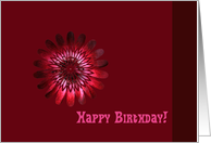 Birthday, any one, red bloom card