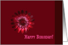 Birthday, any one, red bloom card