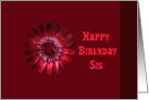 Birthday, Sis, red bloom card