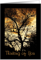 Thinking of You, tree silhouette card